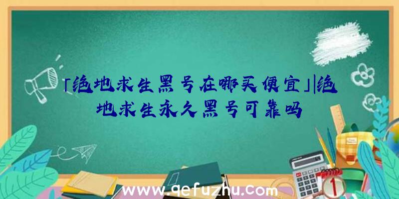 「绝地求生黑号在哪买便宜」|绝地求生永久黑号可靠吗